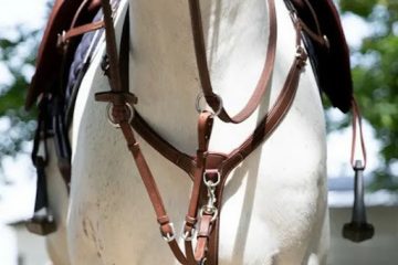 horse accessories